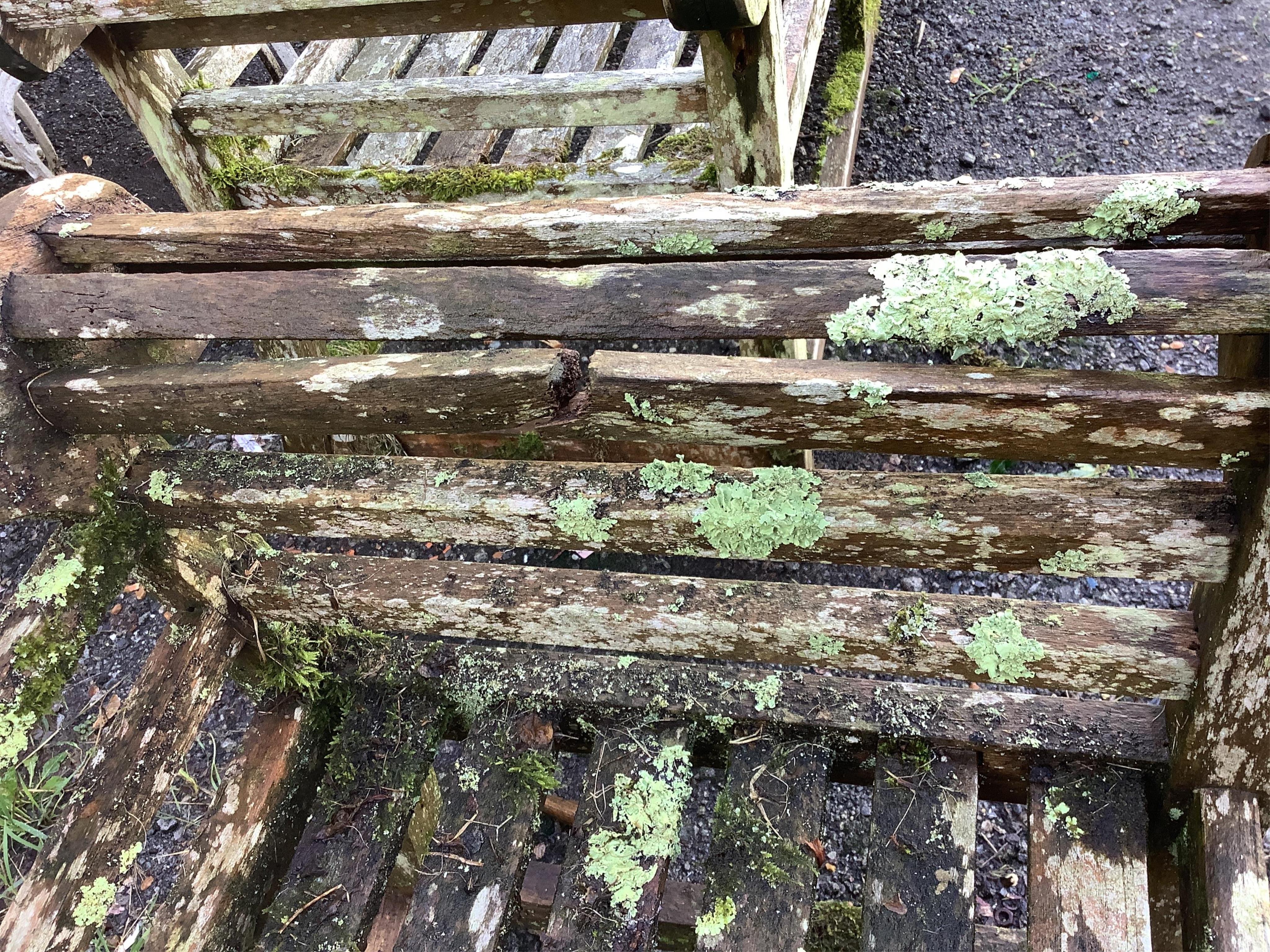 A weathered teak Lutyens style garden bench, width 165cm, depth 58cm, height 103cm. Condition - poor, covered in moss and lichen